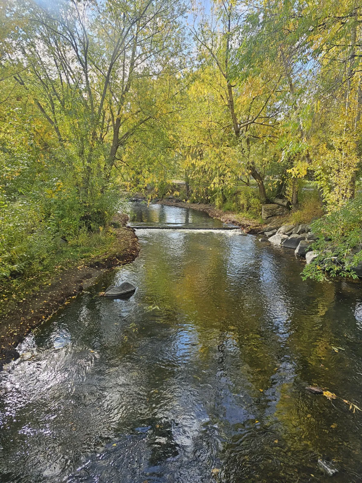 A tranquil river scene with flowing water, lush trees, and reflections, evoking the peaceful, scenic side of local outdoor exploration.